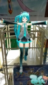 イカソーメン