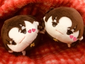 さみ