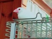 久世