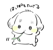 あけち旅太郎