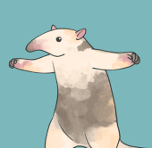 きさ