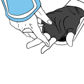 蟹