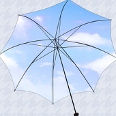 みずき
