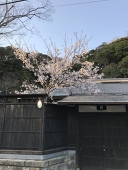 す