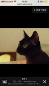のぞガエル