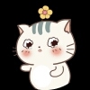 小贱猫
