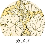 瓶野カメノ
