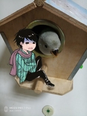 No氏