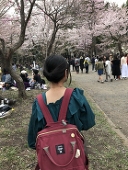 螺鈿