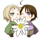 こたけ