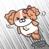 伊ヌ美