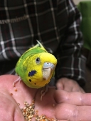 John