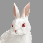ルポ