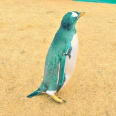 なむら