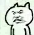 科科