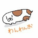 きん
