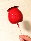 春蛙