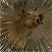 ミミ