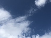颯