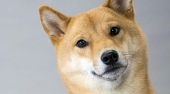 Daichi