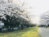 あき