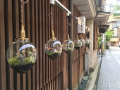 ラムネ