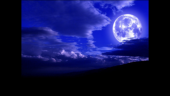 夜中悠馬