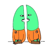 きめる