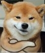 洛伊克巴德