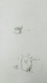わっほい