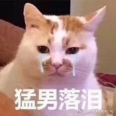 魚肉麺