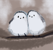 ごいげっこ