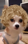 shijimi