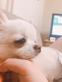 崎上エズ