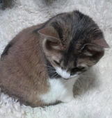 悠