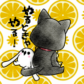 白玉るり