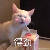 森小兔