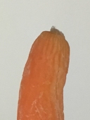 あったか