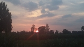 old.sun