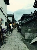 南京草