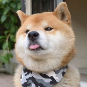 岳大侠