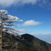 本长（zhǎng）