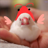 -v-