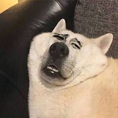 ZYP