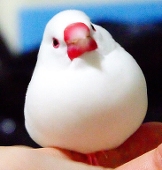 みつる