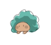 ぽぷら*