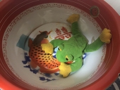 駿河