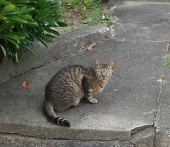 ベルとの