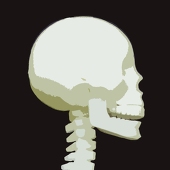 骨