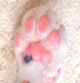 きうち